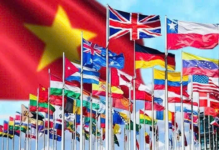 Vietnam needs more strategic, beneficial, resilient integration: Indian Professor